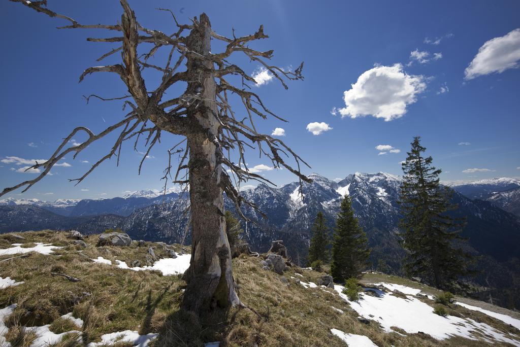 Hotel-Restaurant Zum Hirschhaus Inklusiv Chiemgaukarte Ruhpolding Kültér fotó